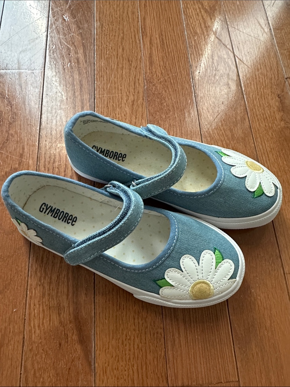 Gymboree shoes, size 12 toddler